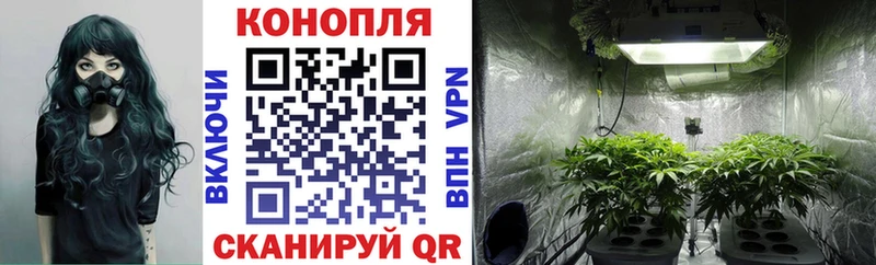 мега как войти  Великие Луки  МАРИХУАНА THC 21% 